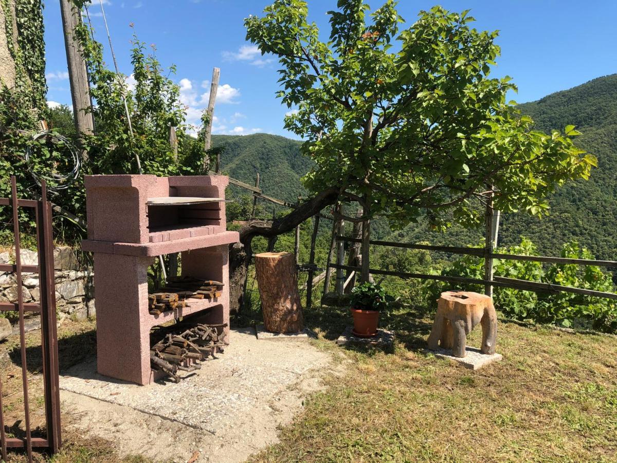 Villa Elena Mezzanego المظهر الخارجي الصورة