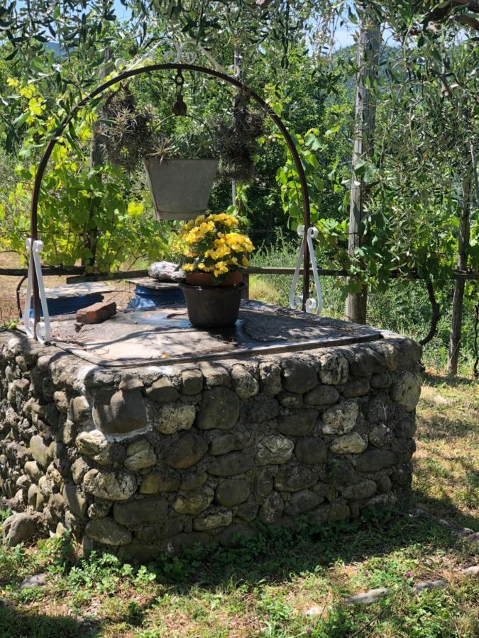 Villa Elena Mezzanego المظهر الخارجي الصورة