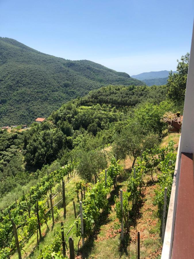 Villa Elena Mezzanego المظهر الخارجي الصورة